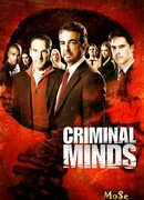 Мыслить как преступник сезон 4