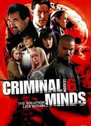 Мыслить как преступник сезон 6