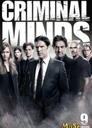 Мыслить как преступник сезон 9