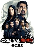 Мыслить как преступник сезон 12