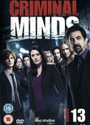 Мыслить как преступник сезон 13