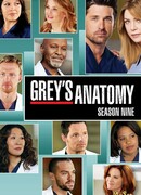 Анатомия страсти сезон 9