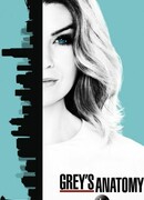 Анатомия страсти сезон 13