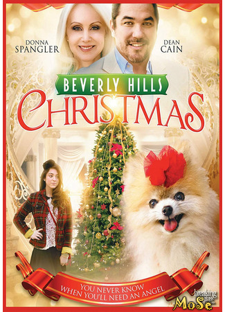кино Рождество в Беверли-Хиллз (Beverly Hills Christmas) 19.01.21