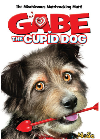 кино Пес-купидон (Gabe the Cupid Dog) 19.01.21