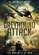Налет Грейхаундов