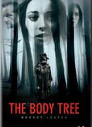 Горные огни