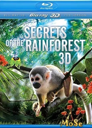 Тропический лес 3D