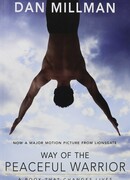 Мирный воин