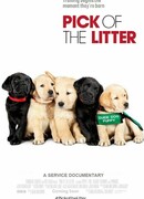 Щенячья школа