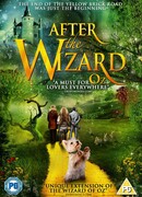 После волшебника