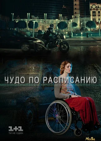 Чудо по расписанию