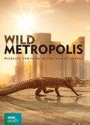 Дикие животные: Завоевание мегаполиса сезон 1