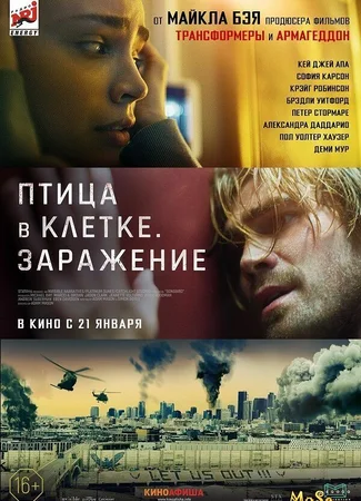 Птица в клетке