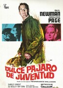 Сладкоголосая птица юности