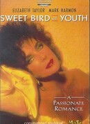 Сладкоголосая птица юности (1989)