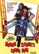 Домашняя война