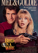 Птичка на проводе