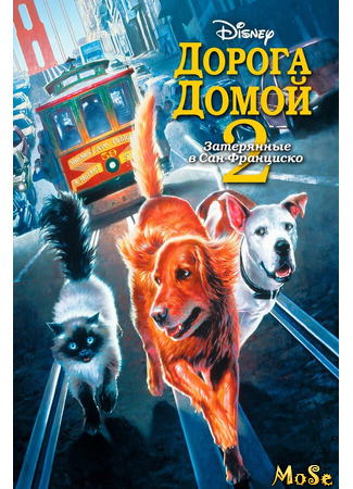 кино Дорога домой 2: Затерянные в Сан-Франциско (Homeward Bound II: Lost in San Francisco) 08.04.21