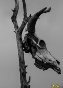 Шаман сезон 1