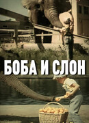 Боба и слон