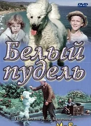 Белый пудель