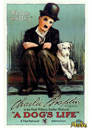 кино Собачья жизнь (A Dog&#39;s Life) 18.04.21