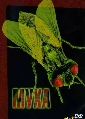Муха