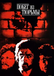 Побег из тюрьмы