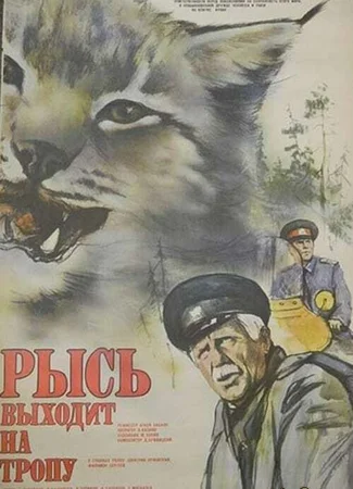 Рысь выходит на тропу