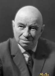 Николай Плотников