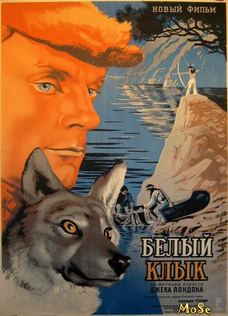 Белый клык