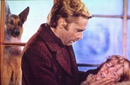 Белый клык (1973)