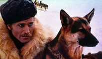 Белый клык (1973)