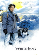 Белый клык (1991)