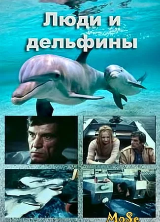 Люди и дельфины