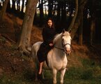 Вдали от безумной толпы (1998)