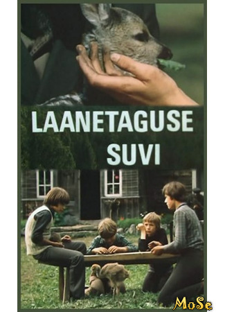кино Лето в Заборье (ТВ) (laanetaguse suvi) 14.05.21