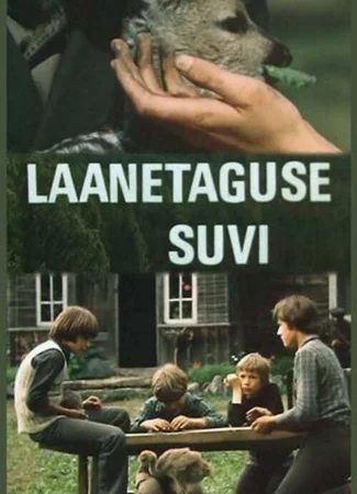 Лето в Заборье (ТВ)