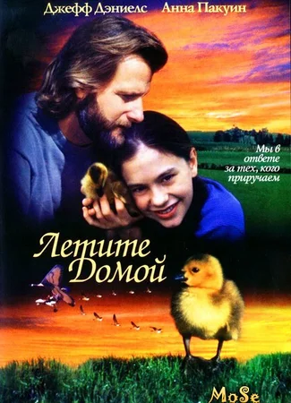 Летите домой