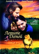 Летите домой