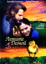 Летите домой