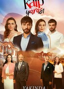 Сердечная рана сезон 1