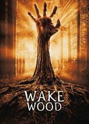 Пробуждающийся лес