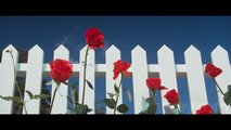 Синий бархат