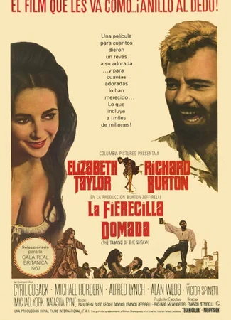 Укрощение строптивой (1967)