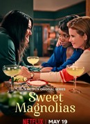 Милые магнолии сезон 1