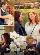 Милые магнолии сезон 2