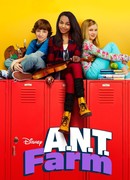 Высший класс сезон 2