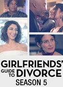 Руководство подруг к разводу сезон 5